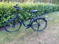 Kalkhoff Fahrrad RH 55cm, NP 900 Euro! Niedersachsen - Esterwegen Vorschau