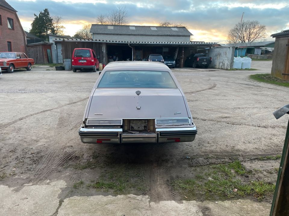 1984 Cadillac Seville 4.1 v8 in Schönkirchen