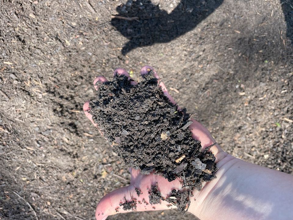 Kompost Komposterde Humus Erde Gartenerde Dünger Pflanzerde in Schloß Holte-Stukenbrock