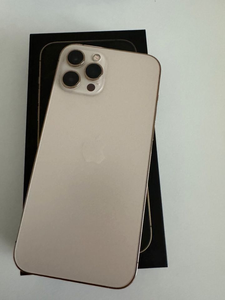 iPhone 12 Pro Max Gold 128GB in Stockstadt a. Main