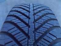 1x 205/60R16 92H Goodyear V 4S Ganzjahresreifen '17 7mm 90% 398w Rheinland-Pfalz - Schifferstadt Vorschau