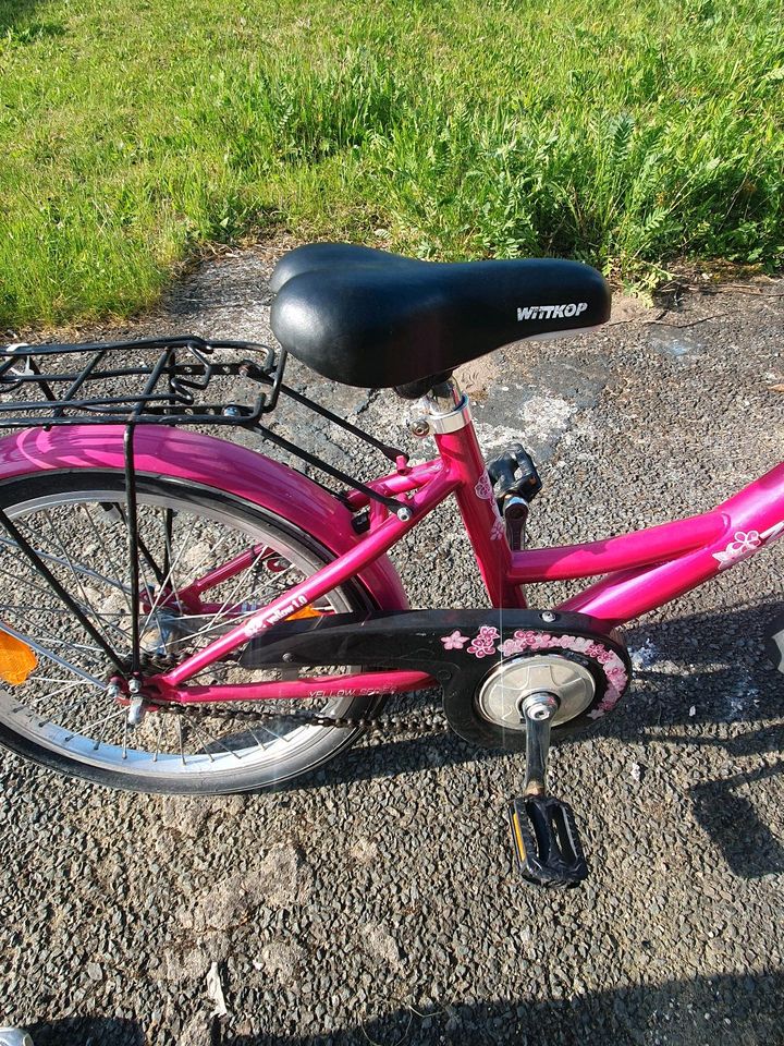 Kinderfahrrad 20 Zoll in Nienburg (Weser)