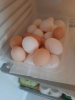 Frische Eier Bayern - Egglkofen Vorschau