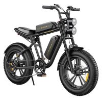 E-bike Engwe M20 mit 2 Akkus Bielefeld - Bielefeld (Innenstadt) Vorschau