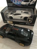 Modellautos Lamborghini und Lotus Rheinland-Pfalz - Hoppstädten-Weiersbach Vorschau