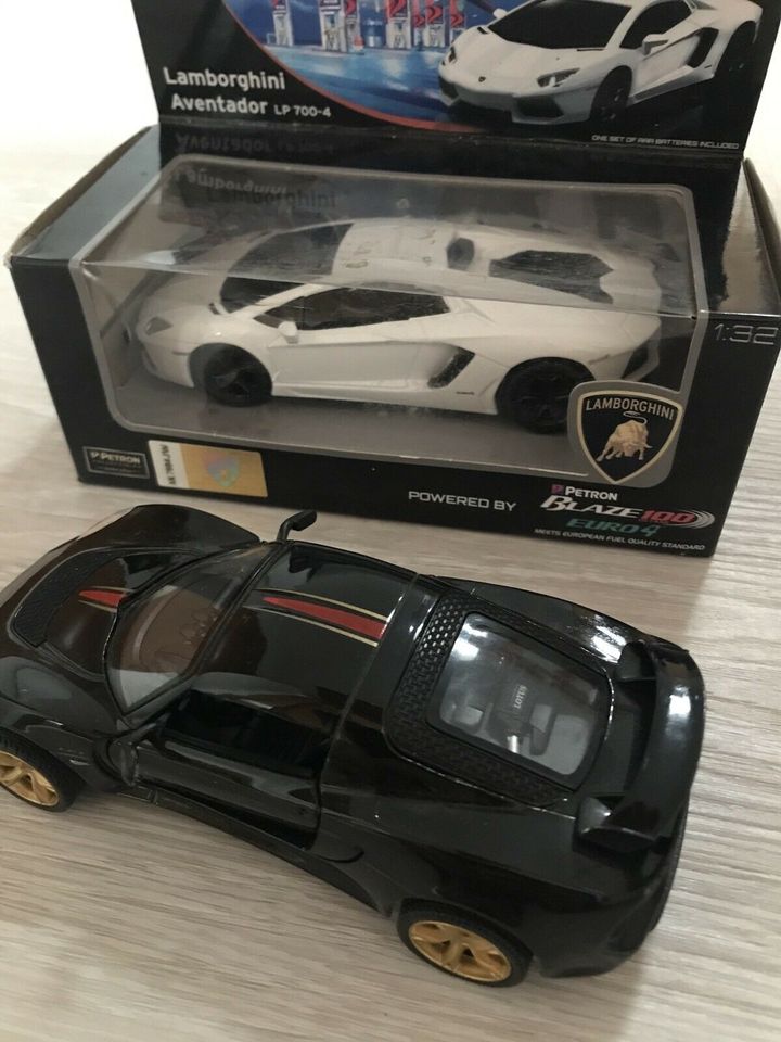 Modellautos Lamborghini und Lotus in Hoppstädten-Weiersbach