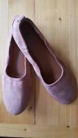 Ballerinas rose Bayern - Ansbach Vorschau