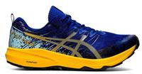 ASICS Fuji LiteTrailrunningschuhe Herren Gr.46,5 US 12 Laufschuh Niedersachsen - Gifhorn Vorschau