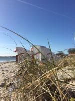 DAS MÖWENNEST in HOLNIS. Ferienhaus Ostsee Strand Schleswig-Holstein - Glücksburg Vorschau