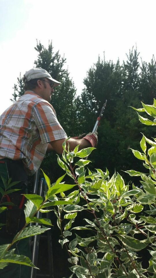 Gartenbau Arbeiten Planen Gestalten Pflegen Dienstleistungen in Ochsenfurt