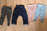 Hosen Schlupfhose Leggings Sommerhose Bellybutton h&m c&a Wandsbek - Hamburg Marienthal Vorschau