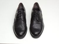 Lloyd Herrenschuhe Business Schuhe Gr. 42,5 top Hessen - Oberursel (Taunus) Vorschau