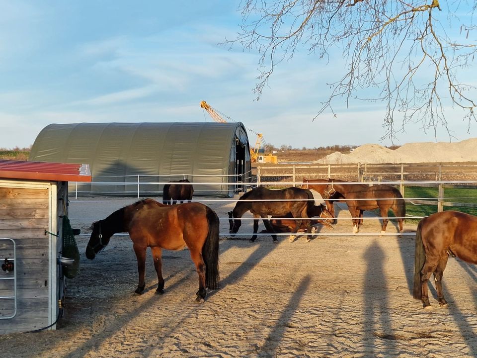 WEIDEZELT - Landwirtschaftliche Lagerlösung - Tiergehege Tierstall Reithalle Nutztierhaltung Viehzucht Lagerzelt Depot Fahrzeughalle Unterstand Garage Carport Überdachung Schutz Zeltlager Statik neu in Hamburg