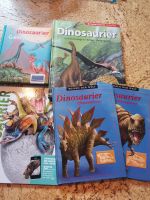 Bücher Dinosaurier Nordfriesland - Husum Vorschau