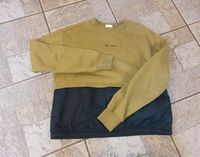 Champion Kinder Pullover Gr. 176 Nordrhein-Westfalen - Oerlinghausen Vorschau