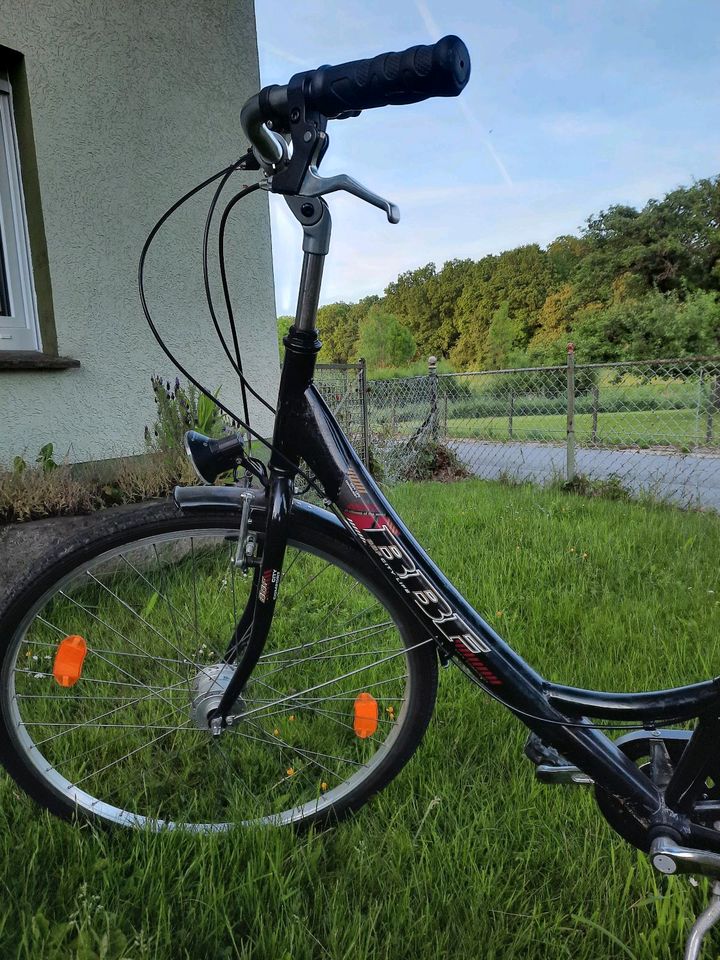 28er Fahrrad mit 7 Gängen in Schieder-Schwalenberg