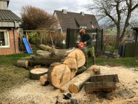 Baumpflege, Baum fällen, Baumfällung Niedersachsen - Göttingen Vorschau