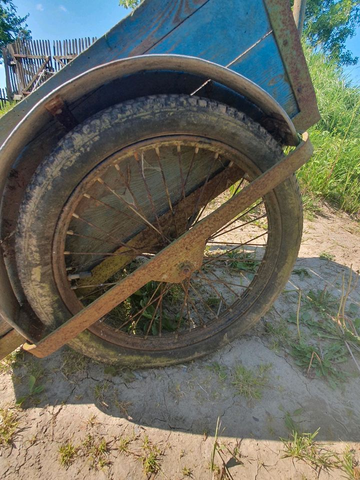 Handwagen/ Mopedanhänger / Fahrradanhänger in Schönberg (Mecklenburg)