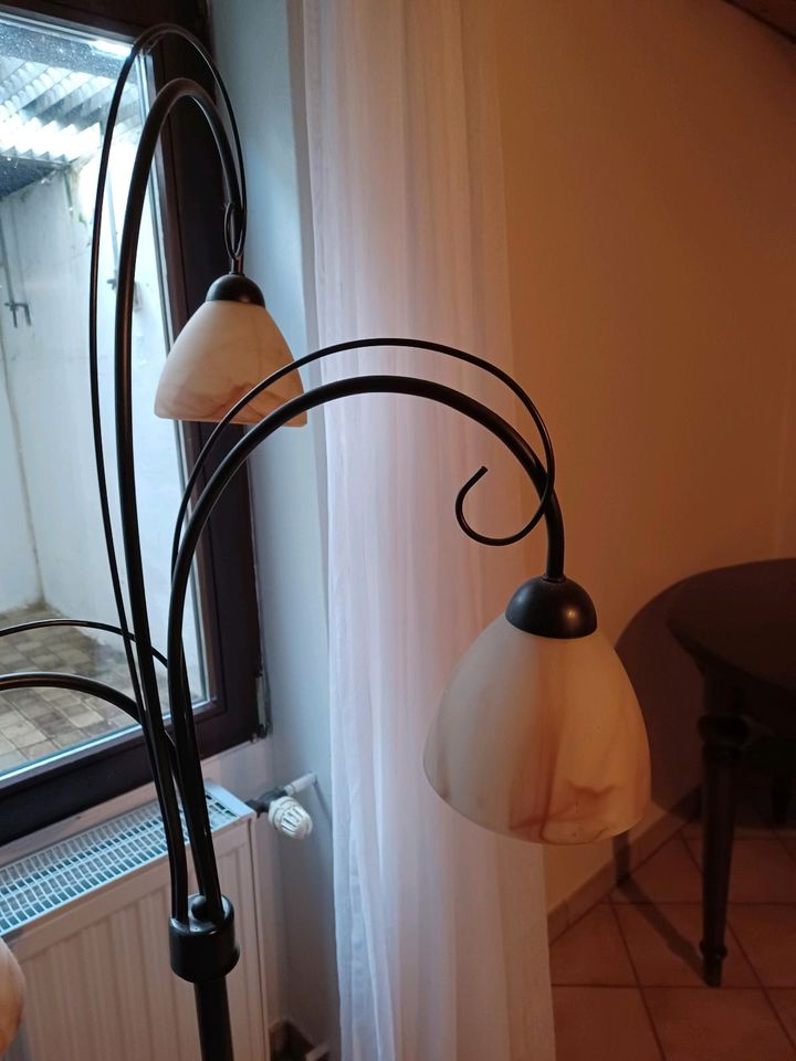Stehlampe mit Glasschirm in Neckarsteinach