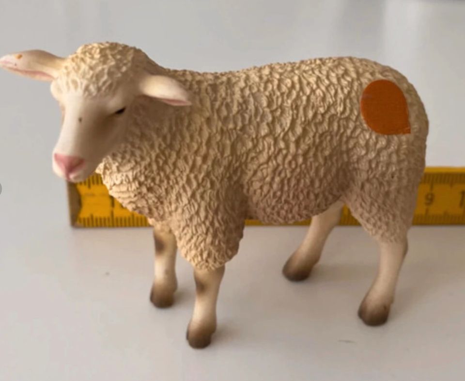 Tiptoi Spielfigur Lamm in Köln