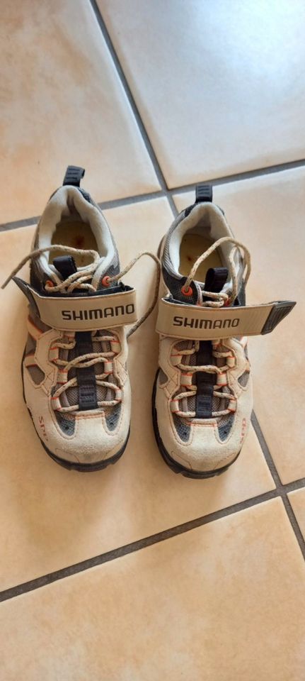 hellgraue Shimano Radschuhe Gr. 38 (Frauen) in Deckenpfronn