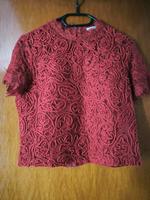 Bluse, T-Shirt rot cropped aus Spitze Zara Größe M Niedersachsen - Holzminden Vorschau