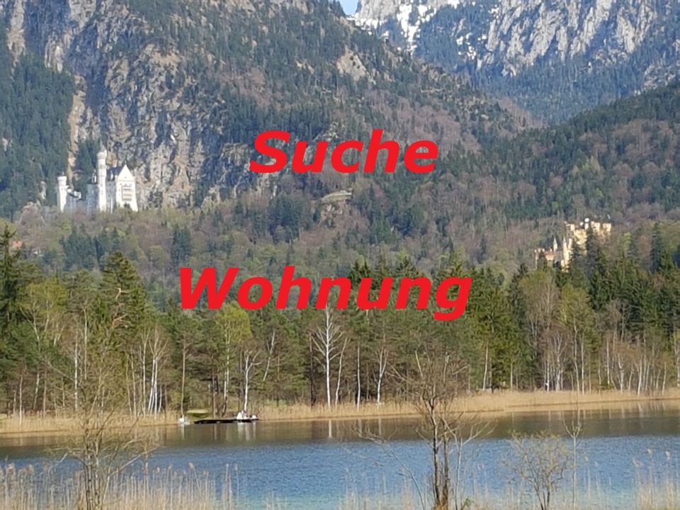 Suche: Füssen und nähere Umgebung, Nähe der A7. in Füssen