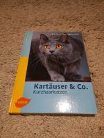 Buch Kartäuser & Co. Hessen - Schwalmstadt Vorschau