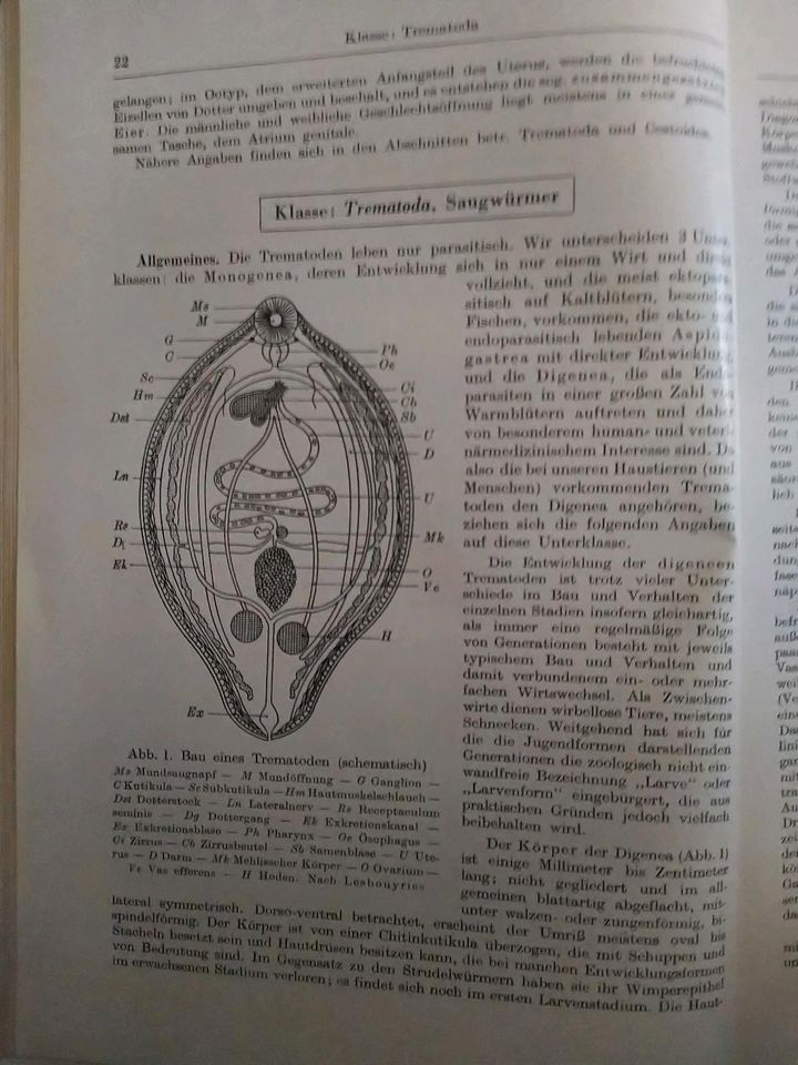 Lehrbuch der Parasitologie für Tierärzte Alfred Borchert in Wiesbaden