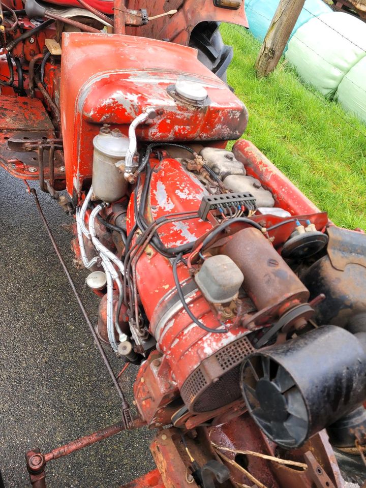 Güldner G30 Traktor Trecker Schlepper in Langwedel