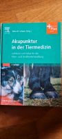 Akupunktur in der Tiermedizin Bayern - Weßling Vorschau