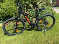 KTM Macina Race 291 E Bike Bayern - Geisenfeld Vorschau