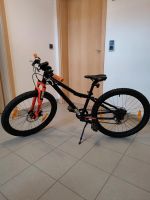 Mountainbike SCOTT Scale 24 Disc Bayern - Ergoldsbach Vorschau