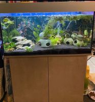 Aquarium 1m (200Liter) mit Licht Chemnitz - Kaßberg Vorschau