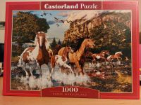 Castorland Puzzle 1000 Teile Baden-Württemberg - Löwenstein Vorschau