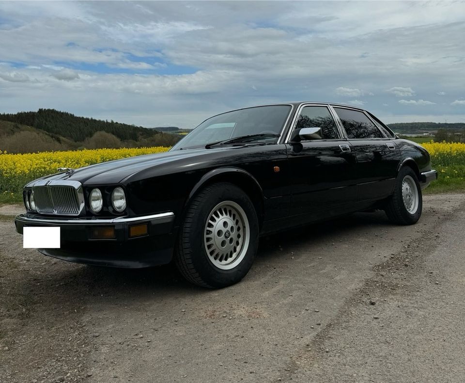 Jaguar XJ40 Sovereign 3,2 Liter in Allendorf