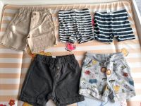 Shorts für Babys Westerwaldkreis - Borod Westerwald Vorschau