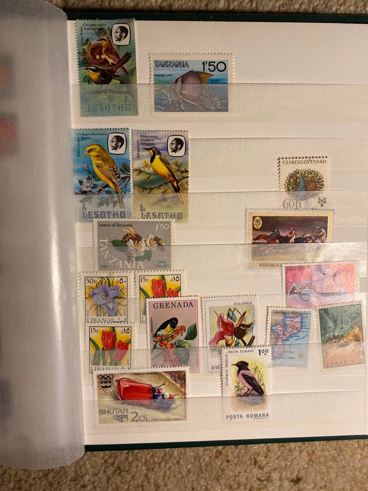 Briefmarkensammlung in Halle