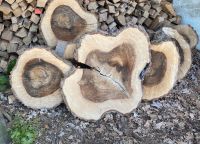 Nussbaum Holz Scheiben  -Tischplatten Hessen - Bruchköbel Vorschau