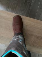 Cowboy Boots Hessen - Bad Hersfeld Vorschau