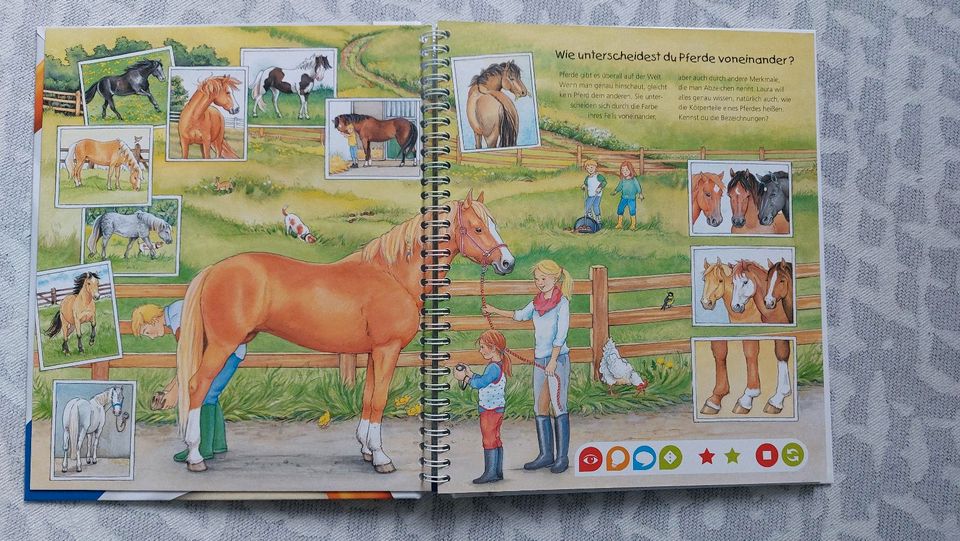 Buch tiptoi Die Welt der Pferde und Ponys in Hattersheim am Main