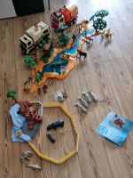 Playmobil Afrika Wüste Große Wasserstelle 4827 4828 4829 Savanne Bayern - Weitnau Vorschau