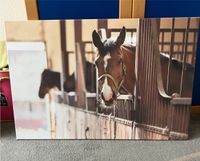 Wandbild Pferd Leinwand Bremen - Oberneuland Vorschau