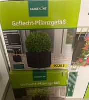 Geflecht Pflanzengefäß München - Maxvorstadt Vorschau