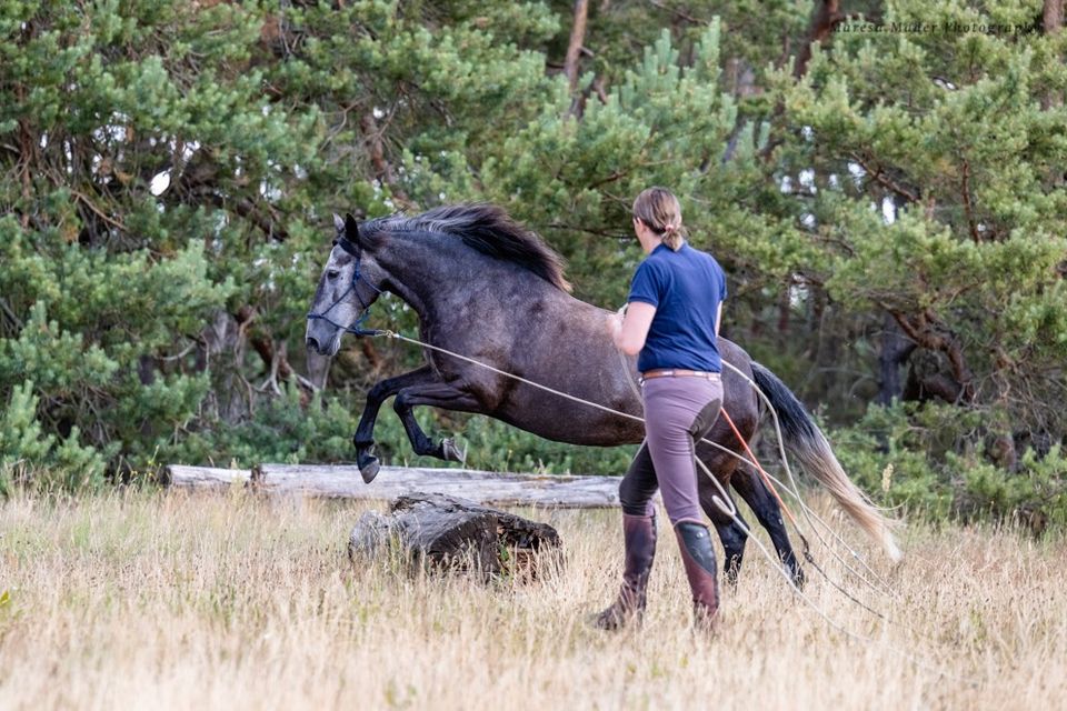 Traumurlaub mit Pferd auf wunderschöner Reitanlage in Neustadt (Dosse)