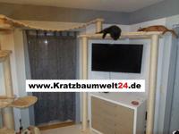 Kratzbaum Kletterwand , Wandkratzbaum,Catwalk Katzenbrücke Bayern - Bamberg Vorschau