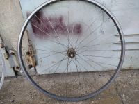 Konvolut Fahrrad Felgen Räder Bike Reifen 26“, 28“ Paket 2 Dresden - Innere Altstadt Vorschau