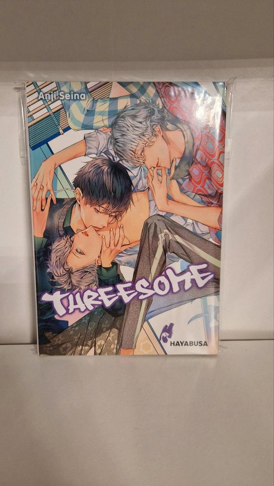 Threesome (einzelband) - yaoi manga in Herne