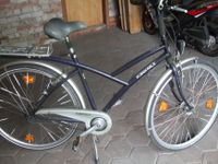 Herren Fahrrad 28  Zoll Rabeneick Niedersachsen - Mellinghausen Vorschau