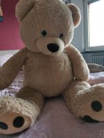 XXL Teddybär Rheinland-Pfalz - Rodalben Vorschau